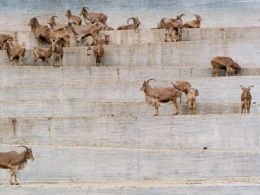 'Candida höfer. projects: done', centro andaluz de arte contemporáneo, Sevilla