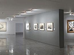 Museo de arte carrillo gil, Ciudad de México