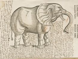 'De la historia natural a la biodiversidad: un pasaje de libro', museo de la biblioteca nacional, Madrid