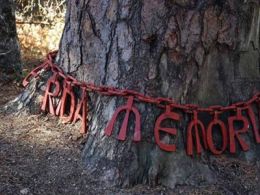 Paseos: 'Descubre los árboles singulares', la casa encendida, Madrid