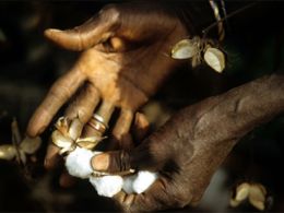 'Comercio justo. un producto, una historia', Caixaforum Palma de Mallorca