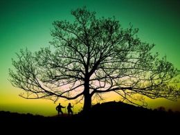 'La atmósfera, el aire que nos rodea'. centro nacional de educación ambiental, valsaín (Segovia)