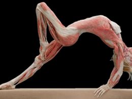'Body Worlds & Un viaje por el corazón'. Universum, Museo de las Ciencias de la UNAM, Ciudad de México