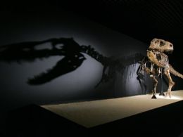 'Dinosaurios. tesoros del desierto de gobi'. Cosmocaixa Barcelona