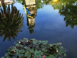 'El tesoro del agua'. real jardín botánico, Madrid