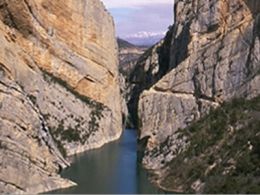 'Gaudeix de la natura'. obra social de caixa catalunya