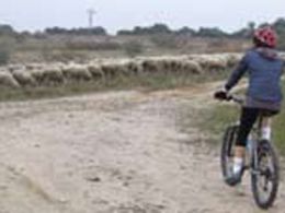 Recorridos en bicicleta por la historia de Madrid: reales sitios en la ciudad de Madrid. la casa encendida, Madrid