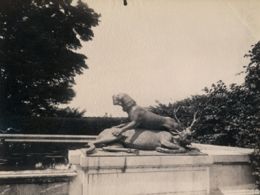 'Eugène atget. parís 1898 - 1924', sala recoletos de fundación mapfre, Madrid