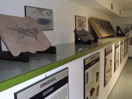 'Tesoros en las rocas'. Museo elder de la ciencia y la tecnología, las palmas de gran canaria
