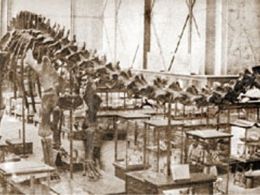 'Érase otra vez un museo'. Museo universitario del chopo, Ciudad de México