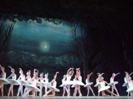 'El lago de los cisnes'. Teatros del canal, Madrid