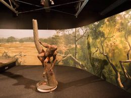 'Orígenes. cinco hitos en la evolución humana'. jardines de méndez núñez, a coruña