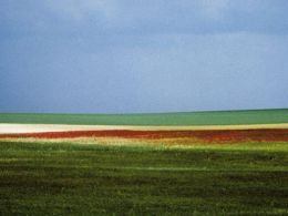 'Franco fontana. la luz del paisaje'. ivam, Valencia