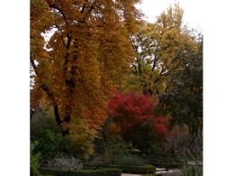 Visitas temáticas. real jardín botánico, Madrid