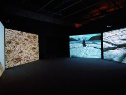 'El efecto del cine. ilusión, realidad e imagen en movimiento. sueño y realismo'. Caixaforum palma
