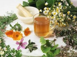 Homeopatía, ¿medicina alternativa? museo de la ciencia de valladolid
