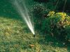 Consejos para regar tus plantas correctamente