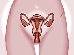 ¿Cómo se realiza una colposcopia?