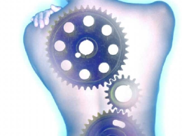¿Qué es la hernia de disco?