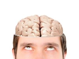 ¿Cómo puedo mejorar la memoria?
