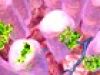 Así actúan las vitaminas y minerales