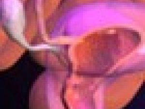 ¿Cómo cambia nuestro cuerpo durante la menopausia?