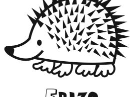 Colorear un erizo