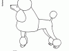 Colorear un perro caniche