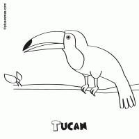 Tucán para colorear