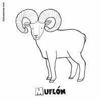Muflón para colorear
