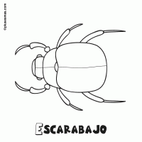 Colorear un escarabajo