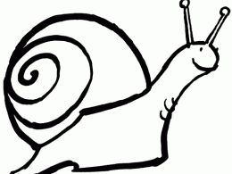 Colorear un caracol