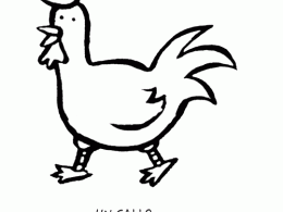 Colorear un gallo