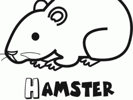 Colorear un hámster