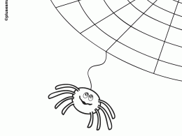Colorear una tela de araña de halloween