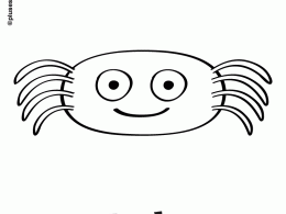 Colorear una araña