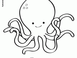 Colorear un pulpo