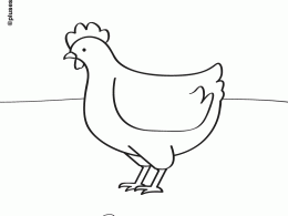 Colorear una gallina