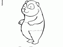 Colorear un oso panda