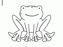 Colorear una rana