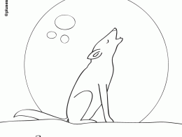 Colorear un lobo aullando