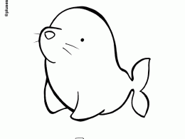 Colorear una foca