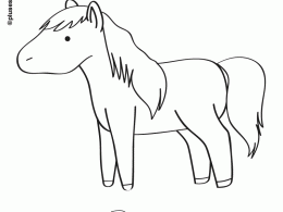 Pony para colorear