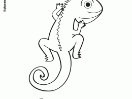 Lagartija para colorear