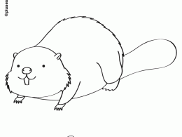 Castor para colorear