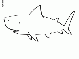 Tiburón para colorear