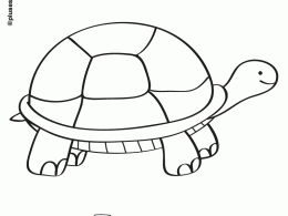Tortuga para colorear