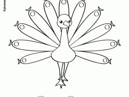 Pavo real para colorear