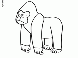 Gorila para colorear