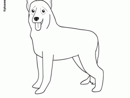 Colorear un perro pastor alemán